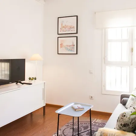 Apartment Ibarra Premium