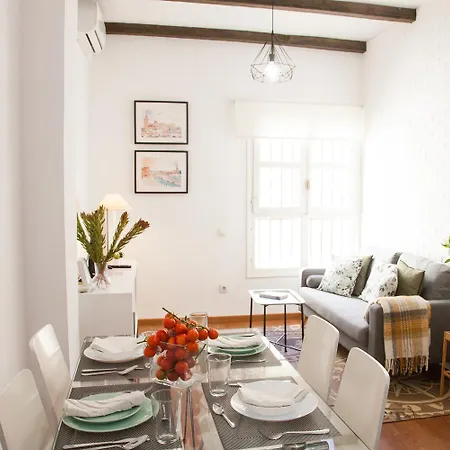 Ibarra Premium Apartment Seville