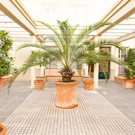 Ibarra Premium Seville